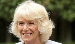 凯特爆料查尔斯上岛视频,揭开王室神秘面纱